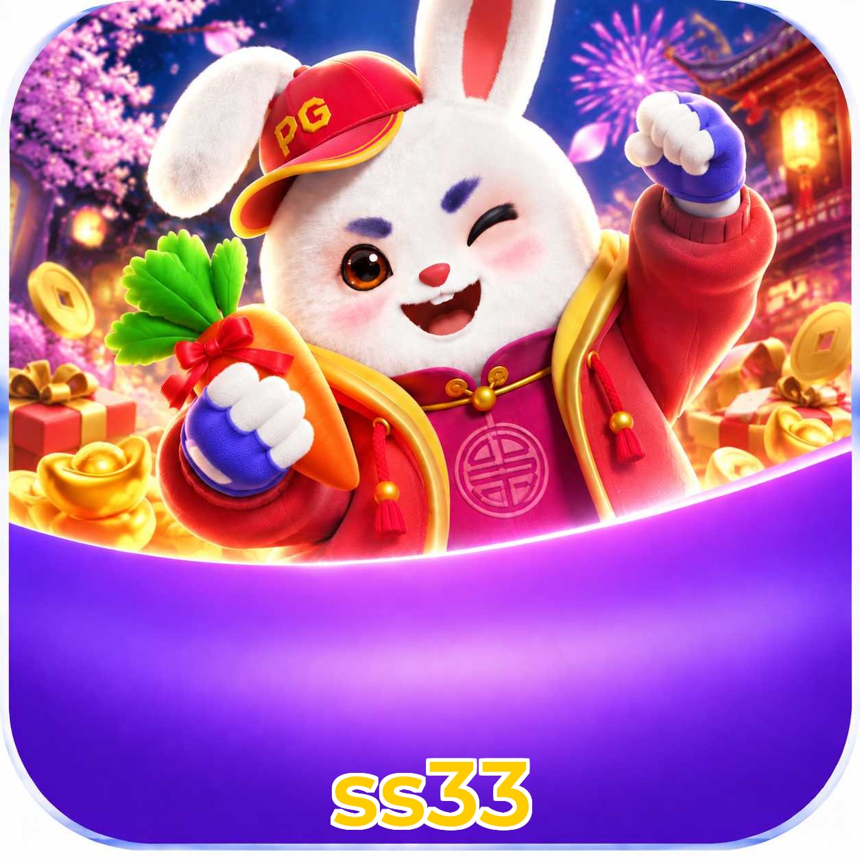 ss33 Segurança